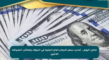 عاجل اليوم.. تحديد سعر الدولار أمام الجنيه في البنوك ومكاتب الصرافة الاثنين